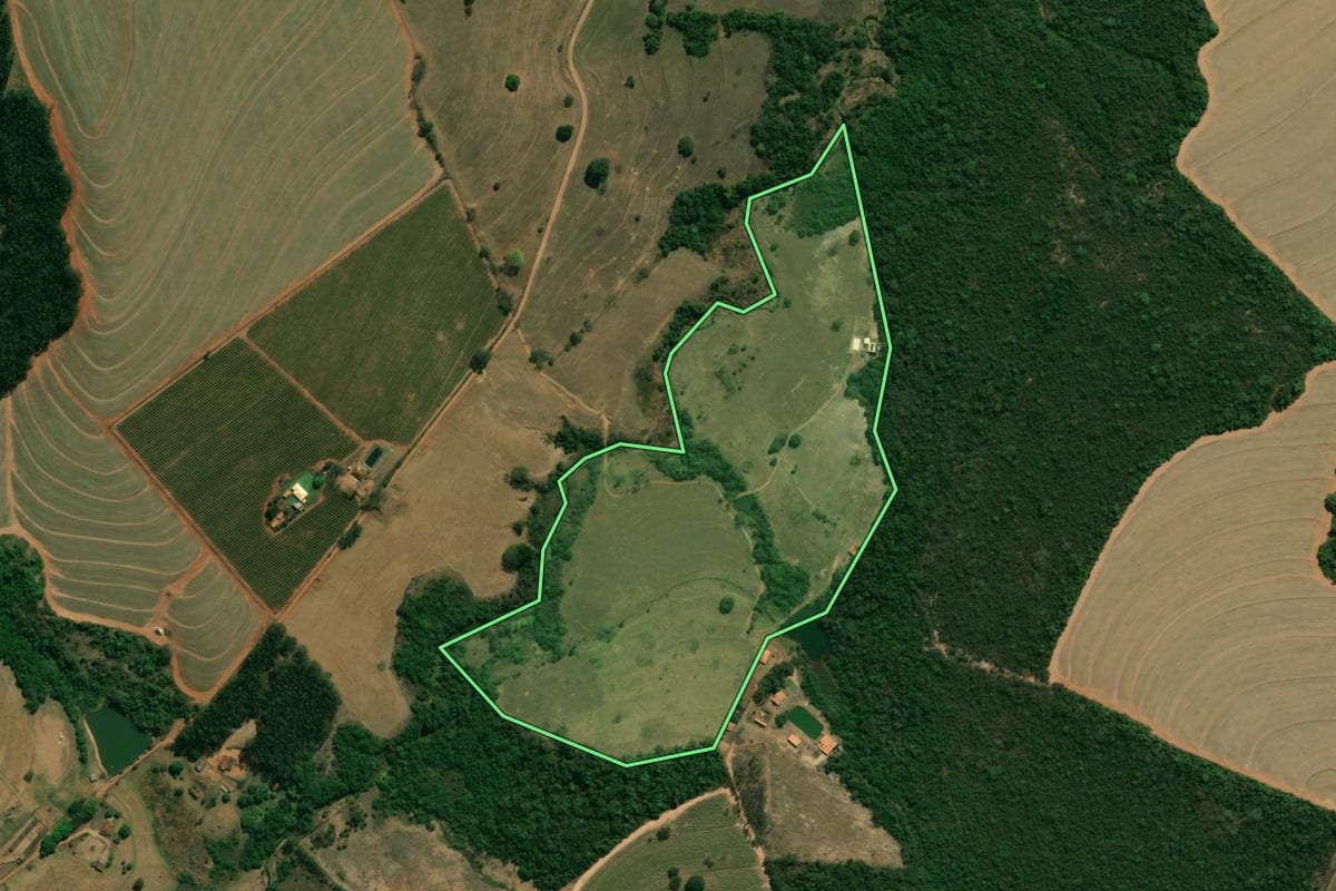 Imagem de satélite do imóvel rural em Cristais Paulista (SP), com o contorno declarado no CAR desenhado por cima.