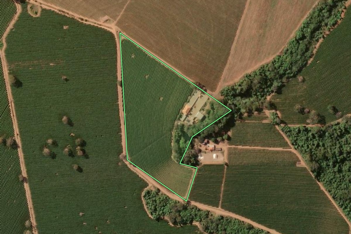 Imagem de satélite do imóvel rural em Cristais Paulista (SP), com o contorno declarado no CAR desenhado por cima.
