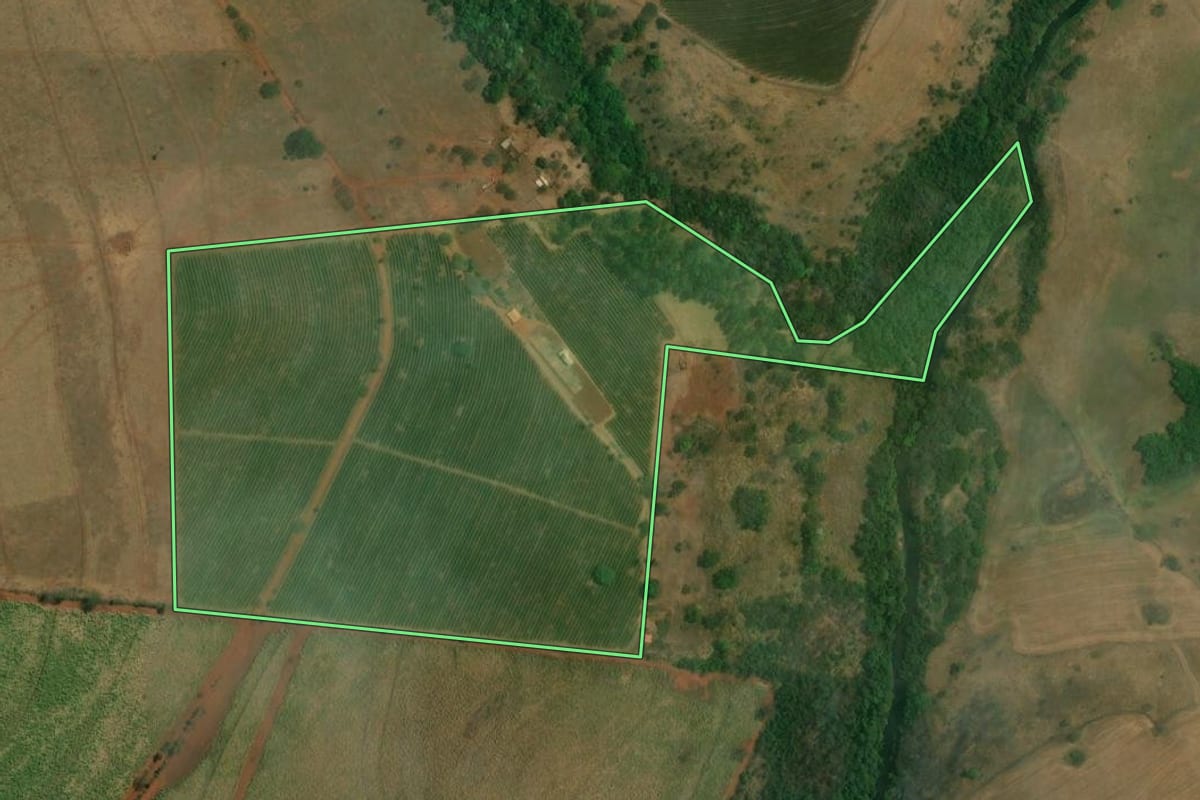 Imagem de satélite do imóvel rural em Cristais Paulista (SP), com o contorno declarado no CAR desenhado por cima.
