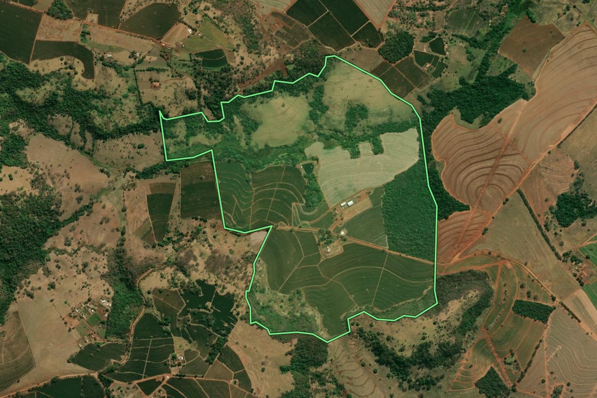 Imagem de satélite do imóvel rural em Cristais Paulista (SP), com o contorno declarado no CAR desenhado por cima.