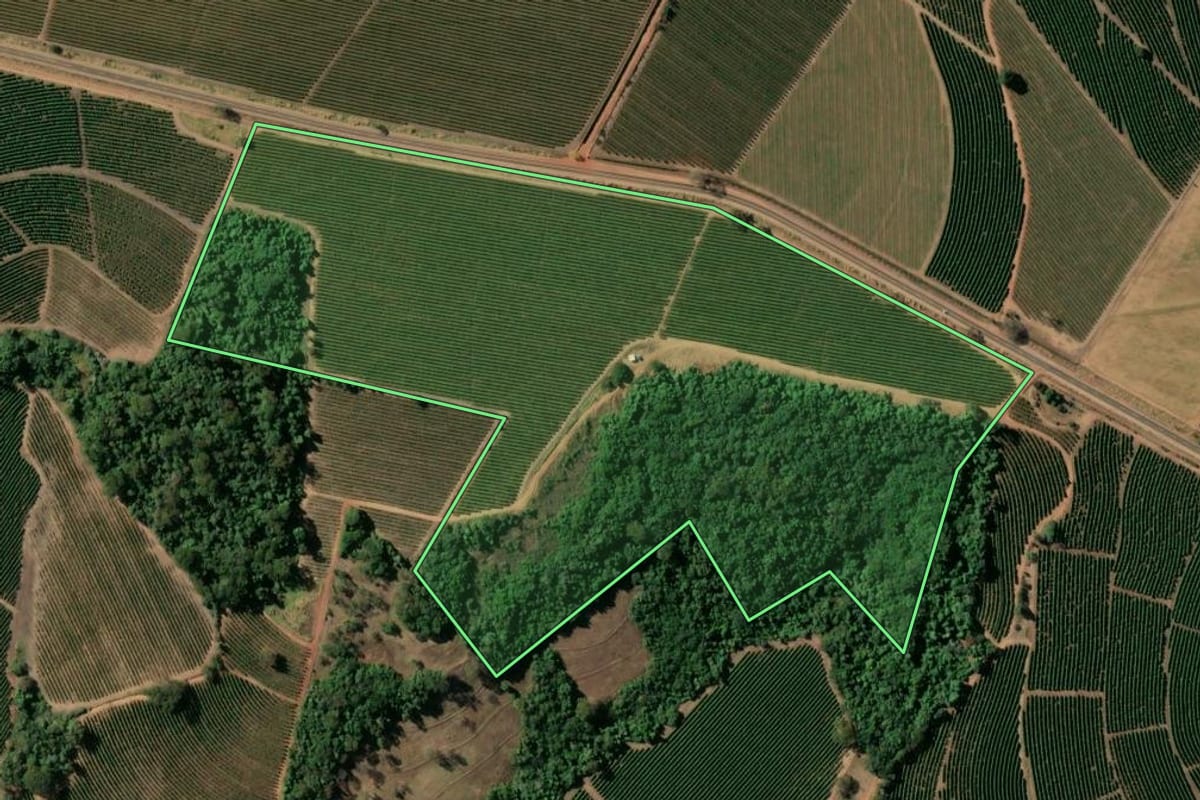 Imagem de satélite do imóvel rural em Cristais Paulista (SP), com o contorno declarado no CAR desenhado por cima.