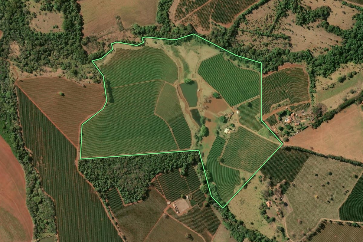 Imagem de satélite do imóvel rural em Cristais Paulista (SP), com o contorno declarado no CAR desenhado por cima.