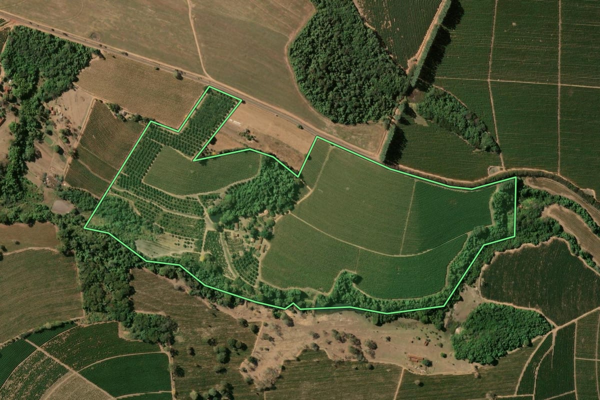 Imagem de satélite do imóvel rural em Cristais Paulista (SP), com o contorno declarado no CAR desenhado por cima.