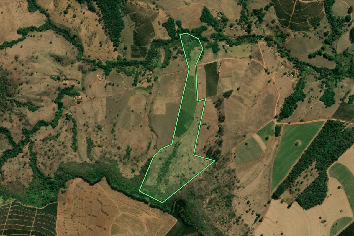 Imagem de satélite do imóvel rural em Cristais Paulista (SP), com o contorno declarado no CAR desenhado por cima.