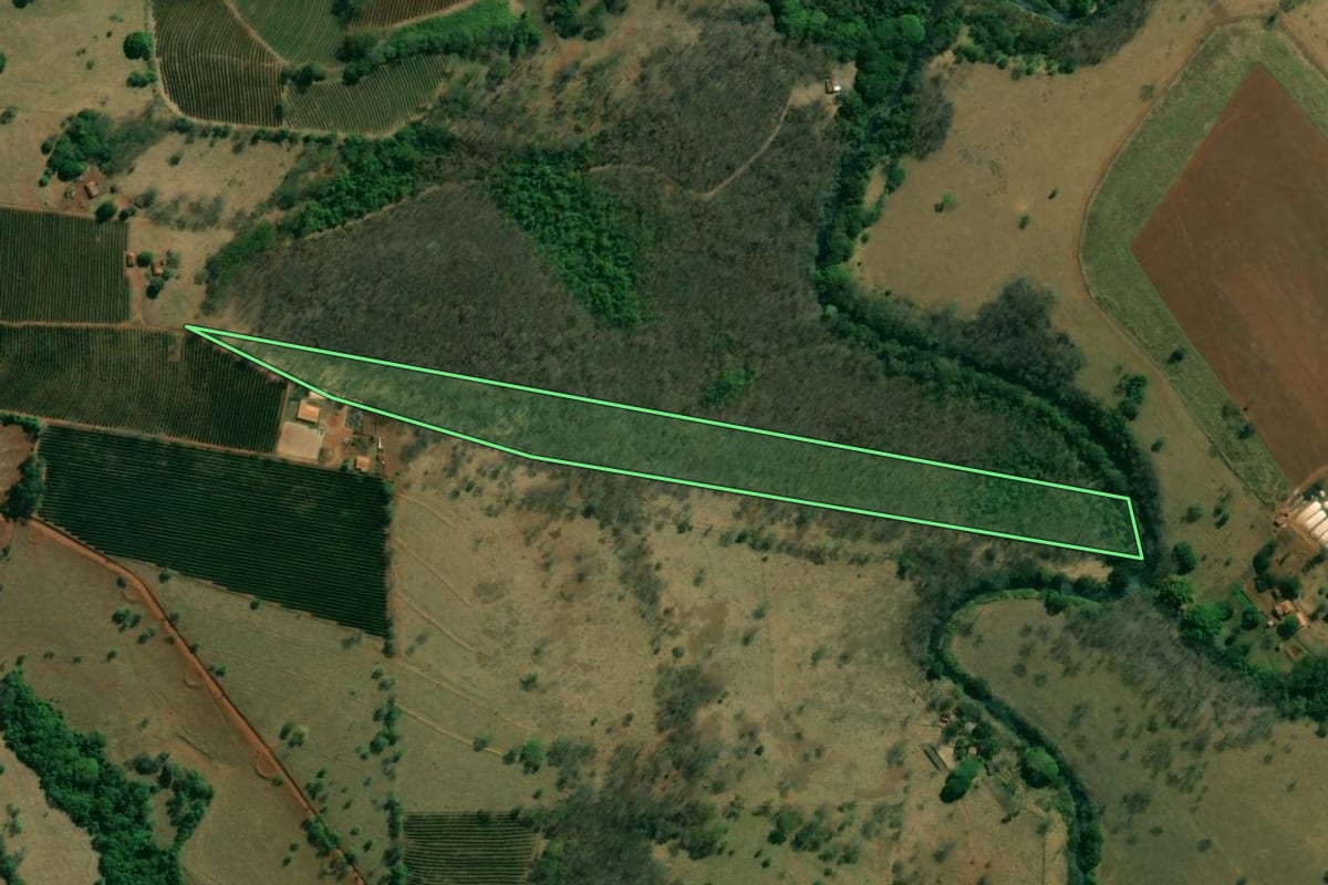 Imagem de satélite do imóvel rural em Cristais Paulista (SP), com o contorno declarado no CAR desenhado por cima.
