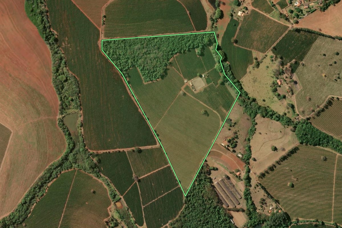 Imagem de satélite do imóvel rural em Cristais Paulista (SP), com o contorno declarado no CAR desenhado por cima.