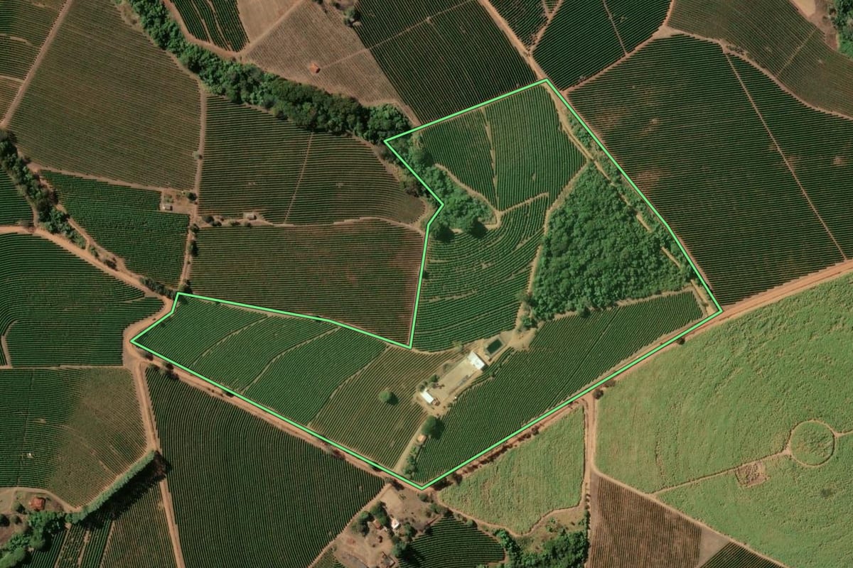 Imagem de satélite do imóvel rural em Cristais Paulista (SP), com o contorno declarado no CAR desenhado por cima.