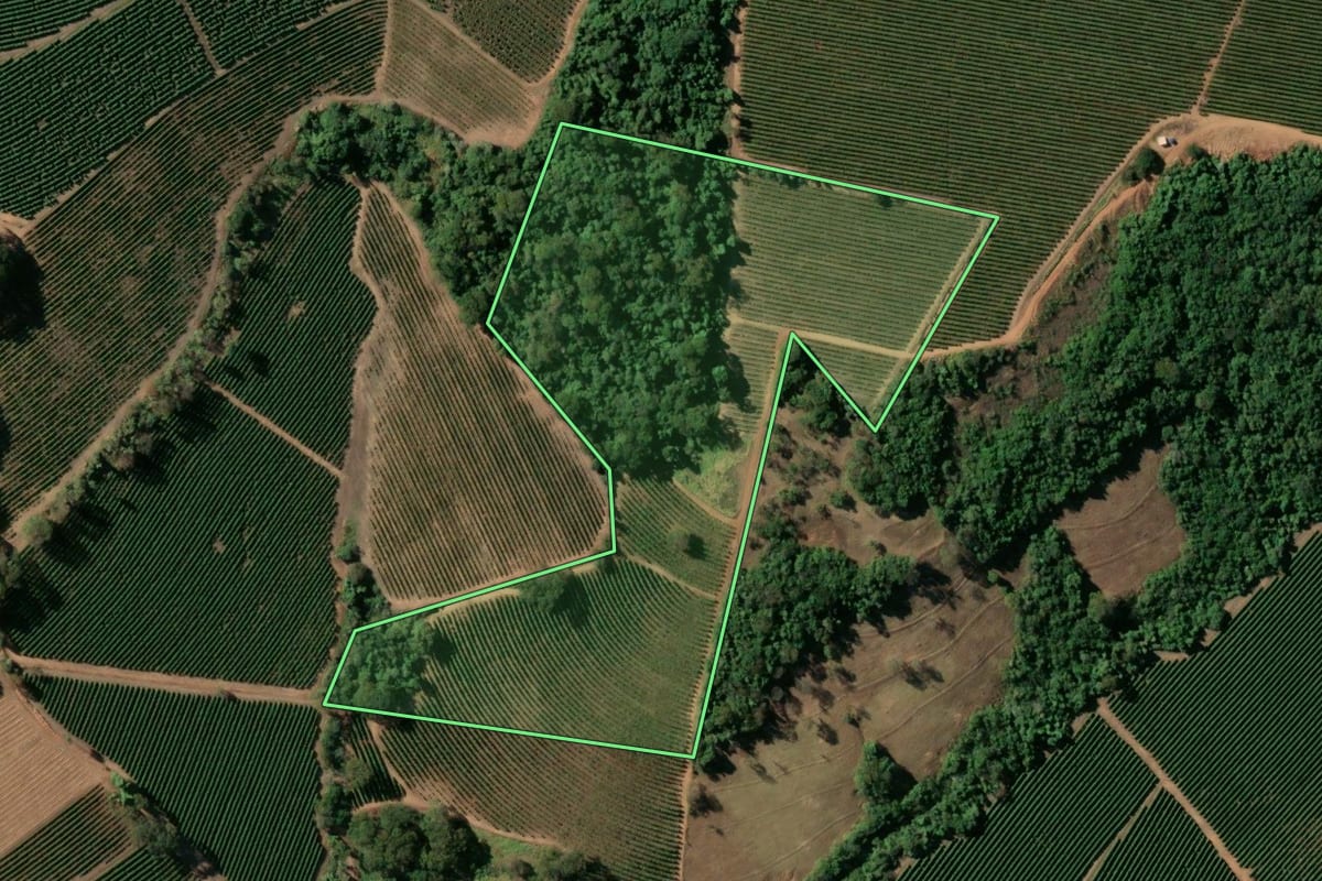 Imagem de satélite do imóvel rural em Cristais Paulista (SP), com o contorno declarado no CAR desenhado por cima.