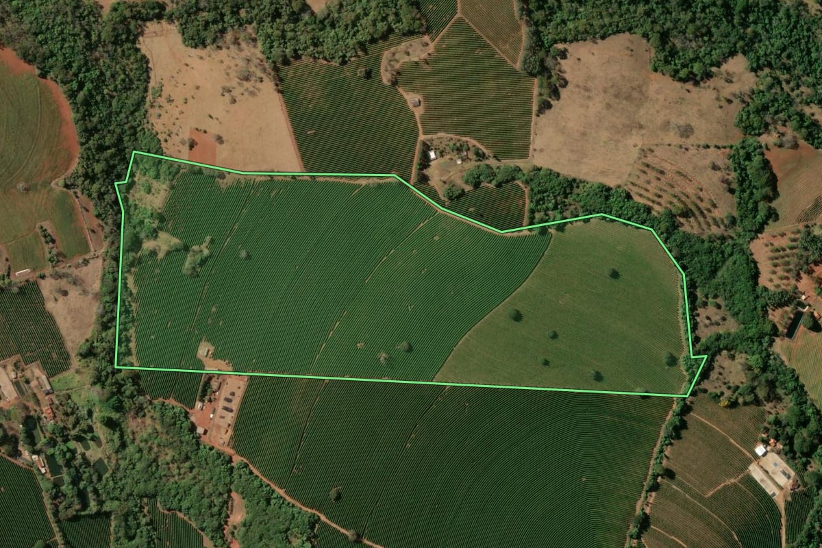 Imagem de satélite do imóvel rural em Cristais Paulista (SP), com o contorno declarado no CAR desenhado por cima.