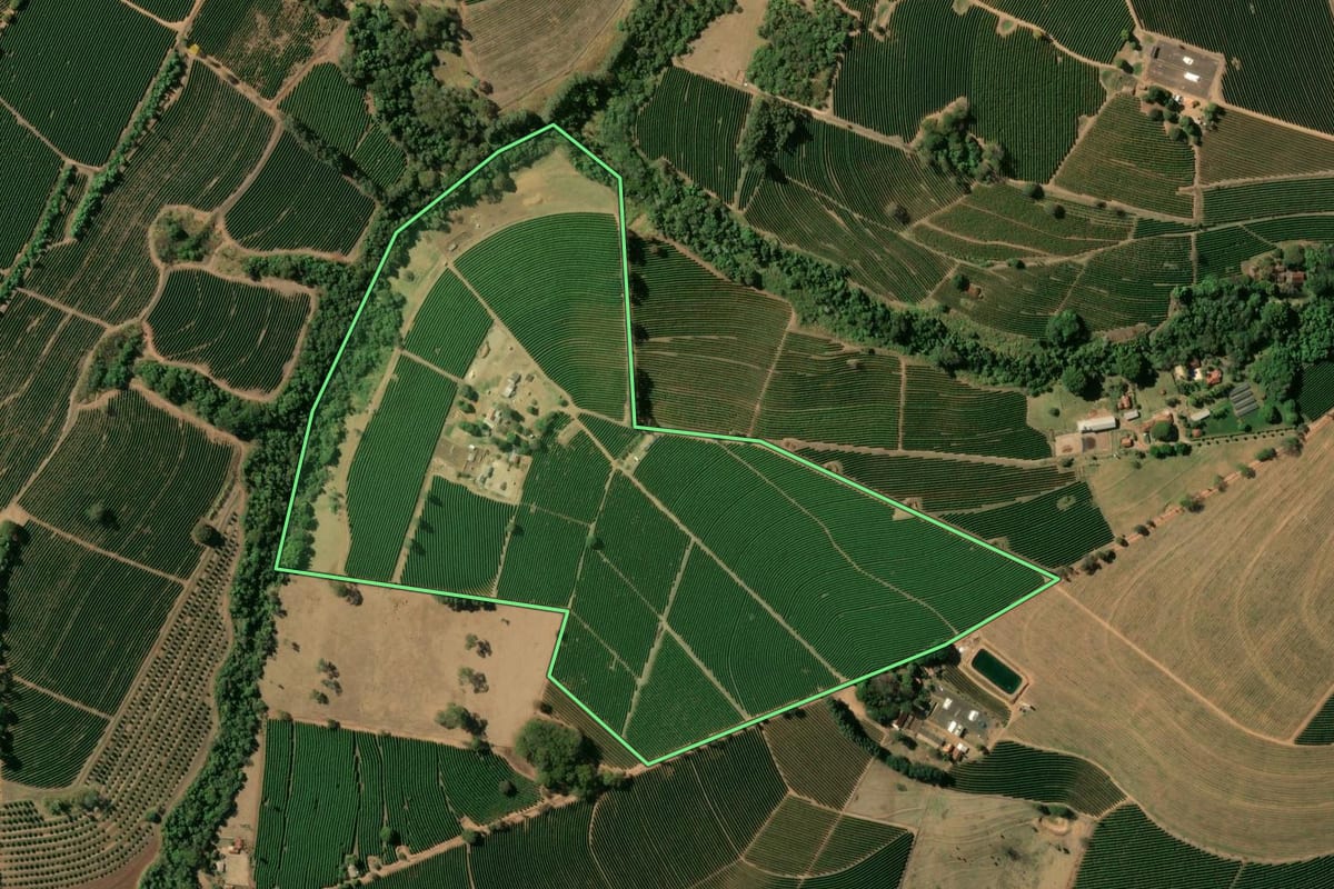 Imagem de satélite do imóvel rural em Cristais Paulista (SP), com o contorno declarado no CAR desenhado por cima.