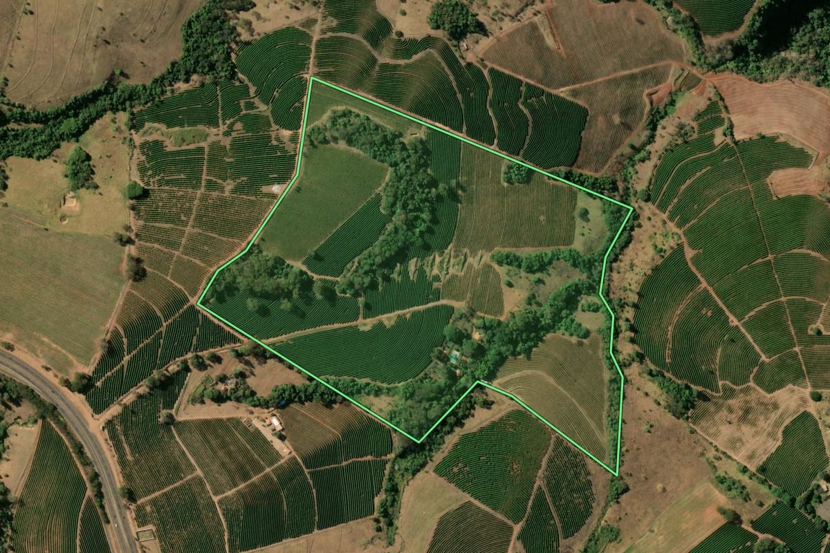Imagem de satélite do imóvel rural em Cristais Paulista (SP), com o contorno declarado no CAR desenhado por cima.