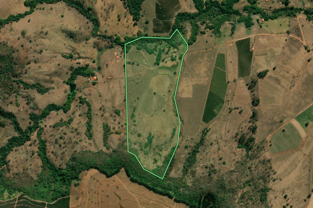 Imagem de satélite do imóvel rural em Cristais Paulista (SP), com o contorno declarado no CAR desenhado por cima.