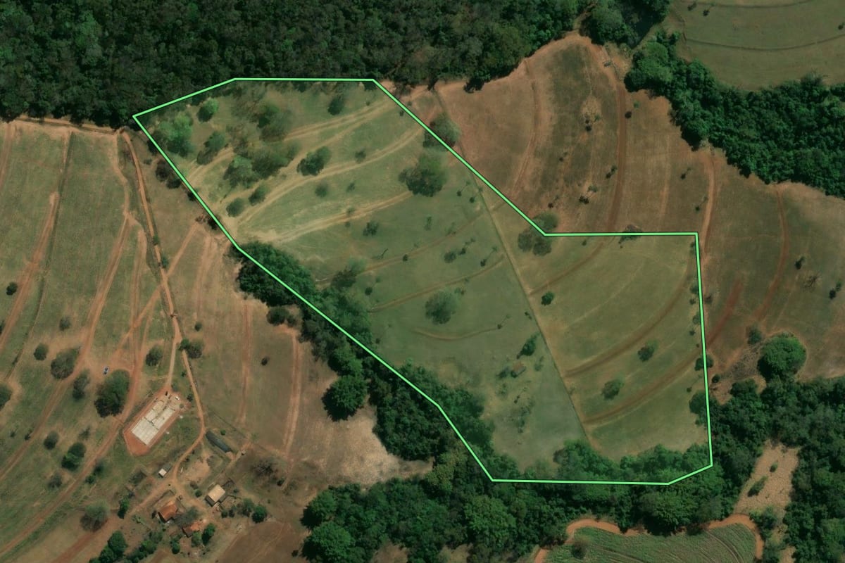 Imagem de satélite do imóvel rural em Cristais Paulista (SP), com o contorno declarado no CAR desenhado por cima.