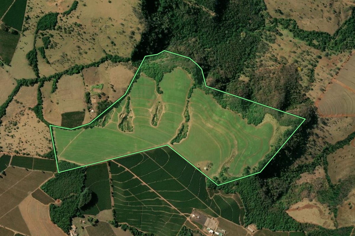 Imagem de satélite do imóvel rural em Cristais Paulista (SP), com o contorno declarado no CAR desenhado por cima.