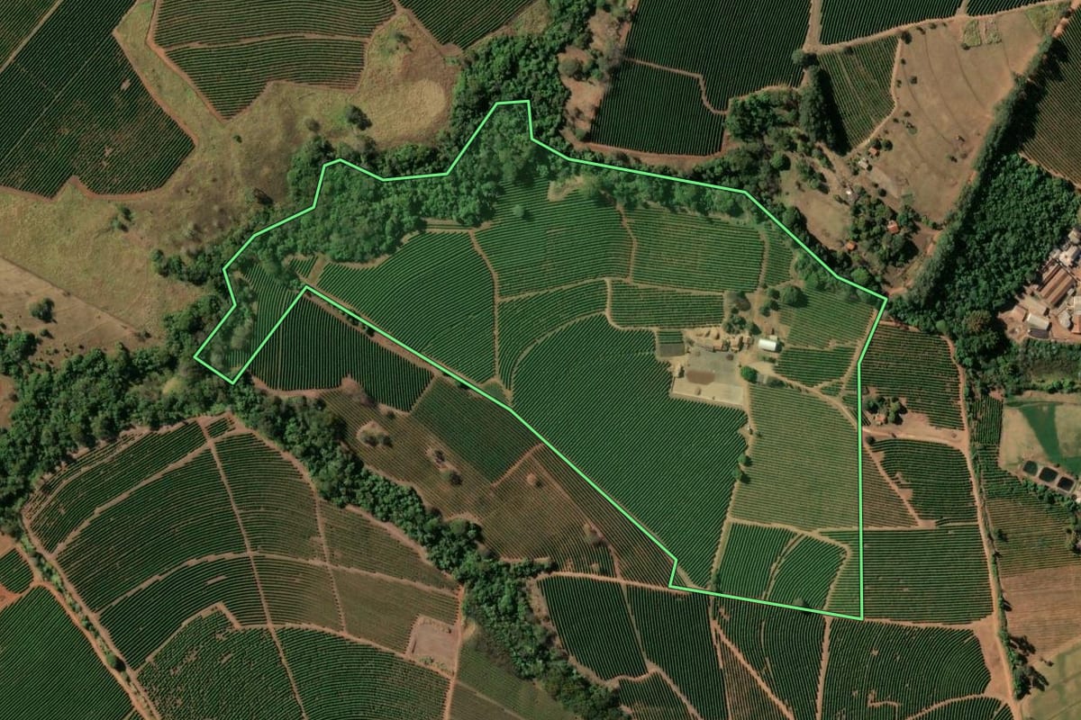 Imagem de satélite do imóvel rural em Cristais Paulista (SP), com o contorno declarado no CAR desenhado por cima.