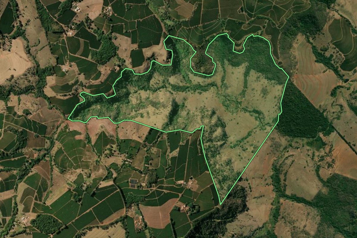 Imagem de satélite do imóvel rural em Cristais Paulista (SP), com o contorno declarado no CAR desenhado por cima.