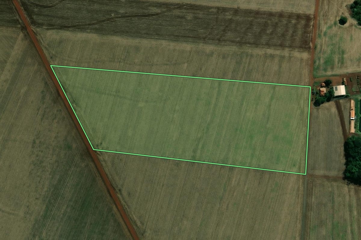 Imagem de satélite do imóvel rural em Cruzália (SP), com o contorno declarado no CAR desenhado por cima.