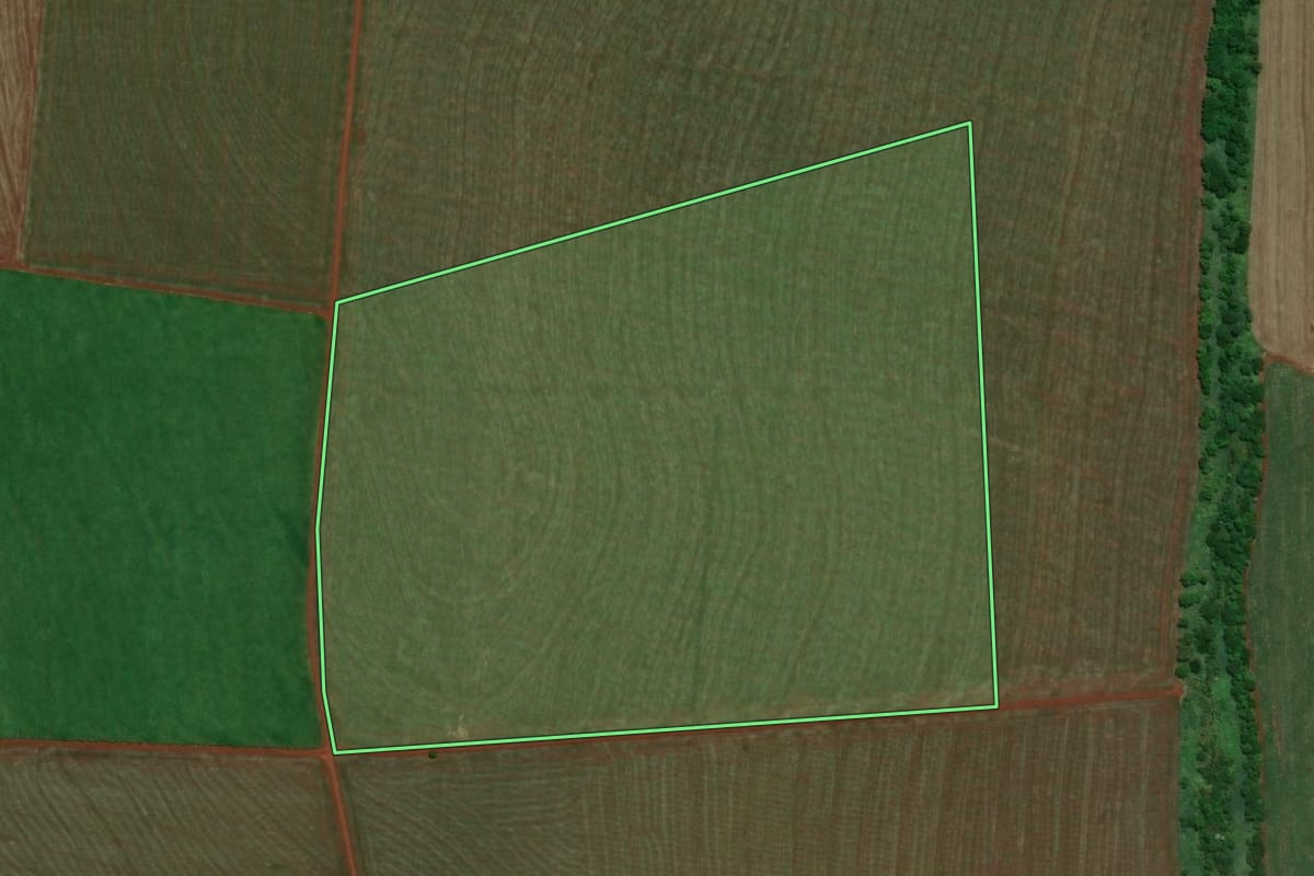Imagem de satélite do imóvel rural em Cruzália (SP), com o contorno declarado no CAR desenhado por cima.