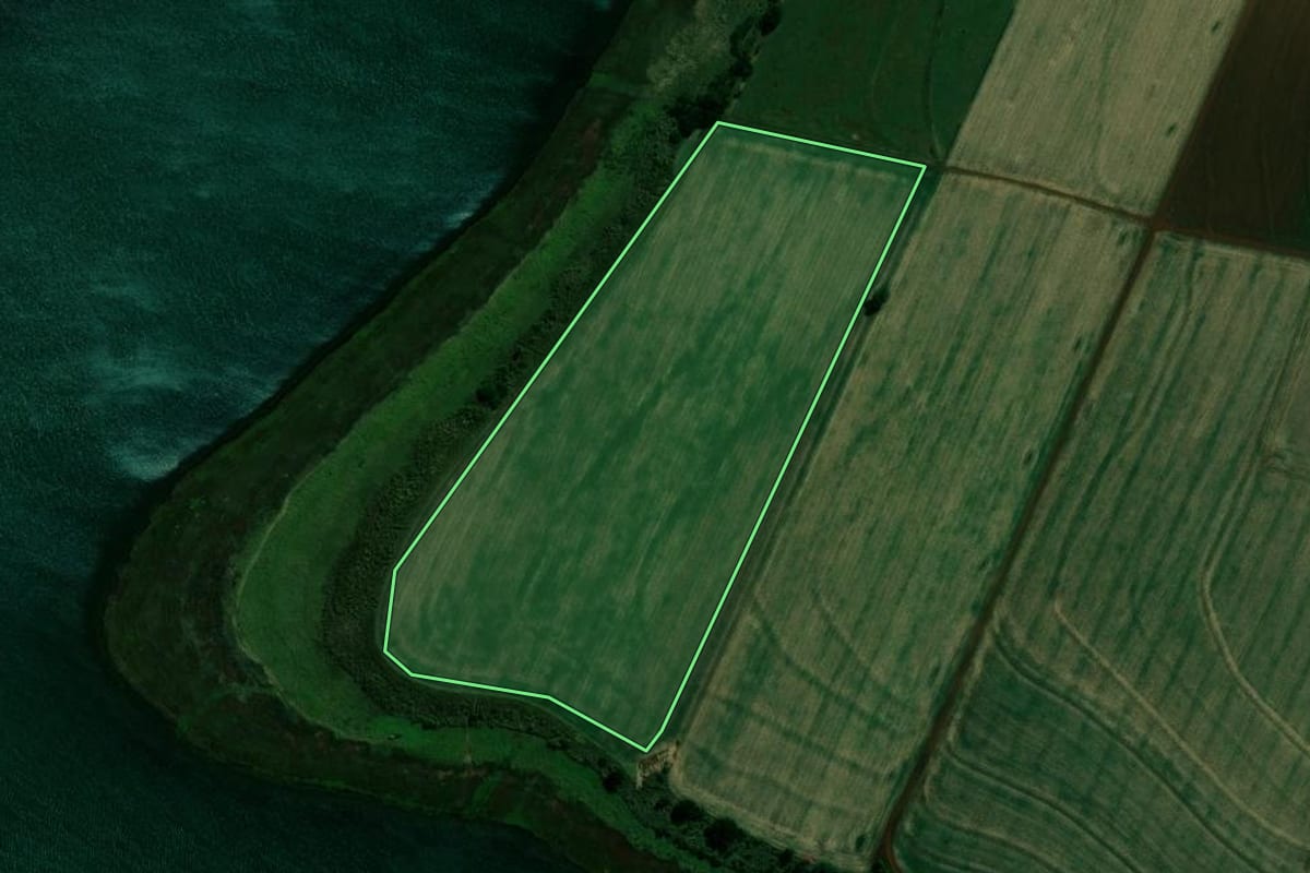Imagem de satélite do imóvel rural em Cruzália (SP), com o contorno declarado no CAR desenhado por cima.