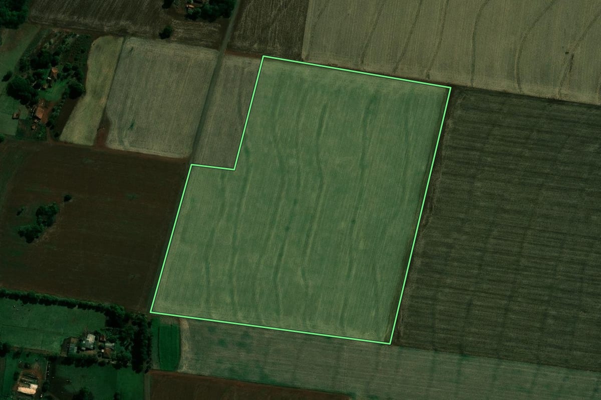 Imagem de satélite do imóvel rural em Cruzália (SP), com o contorno declarado no CAR desenhado por cima.