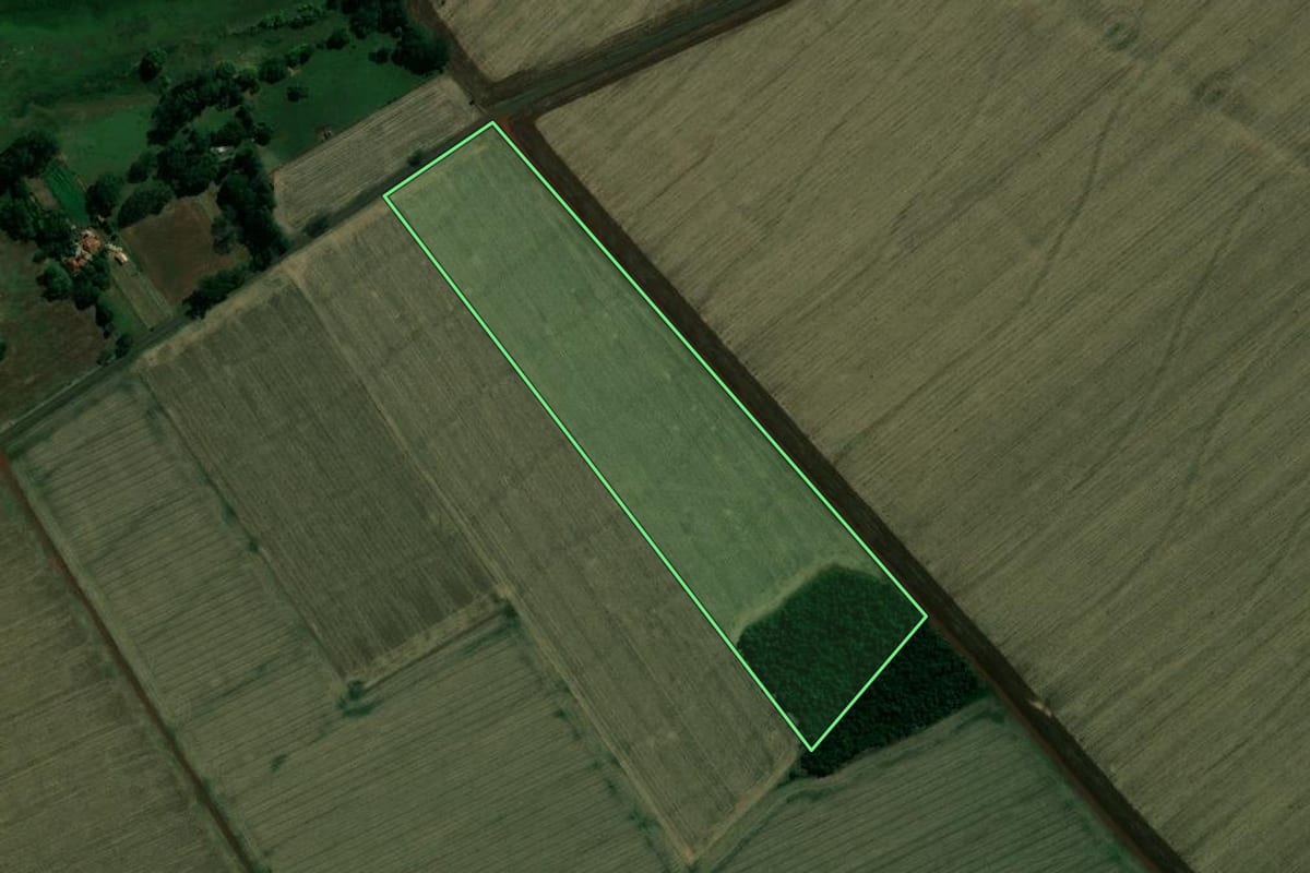 Imagem de satélite do imóvel rural em Cruzália (SP), com o contorno declarado no CAR desenhado por cima.