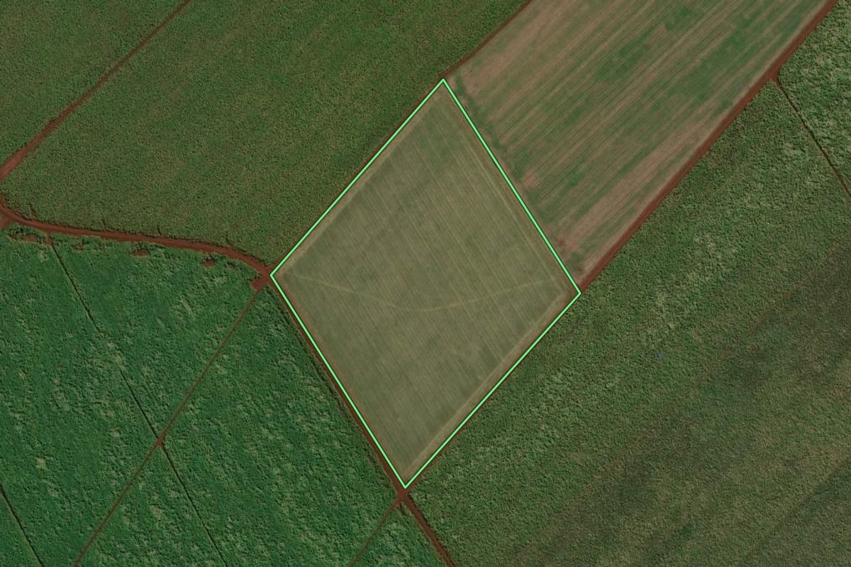 Imagem de satélite do imóvel rural em Cruzália (SP), com o contorno declarado no CAR desenhado por cima.
