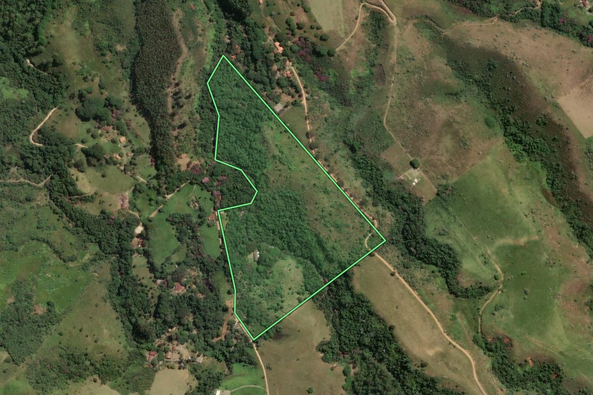 Imagem de satélite do imóvel rural em Cruzeiro (SP), com o contorno declarado no CAR desenhado por cima.