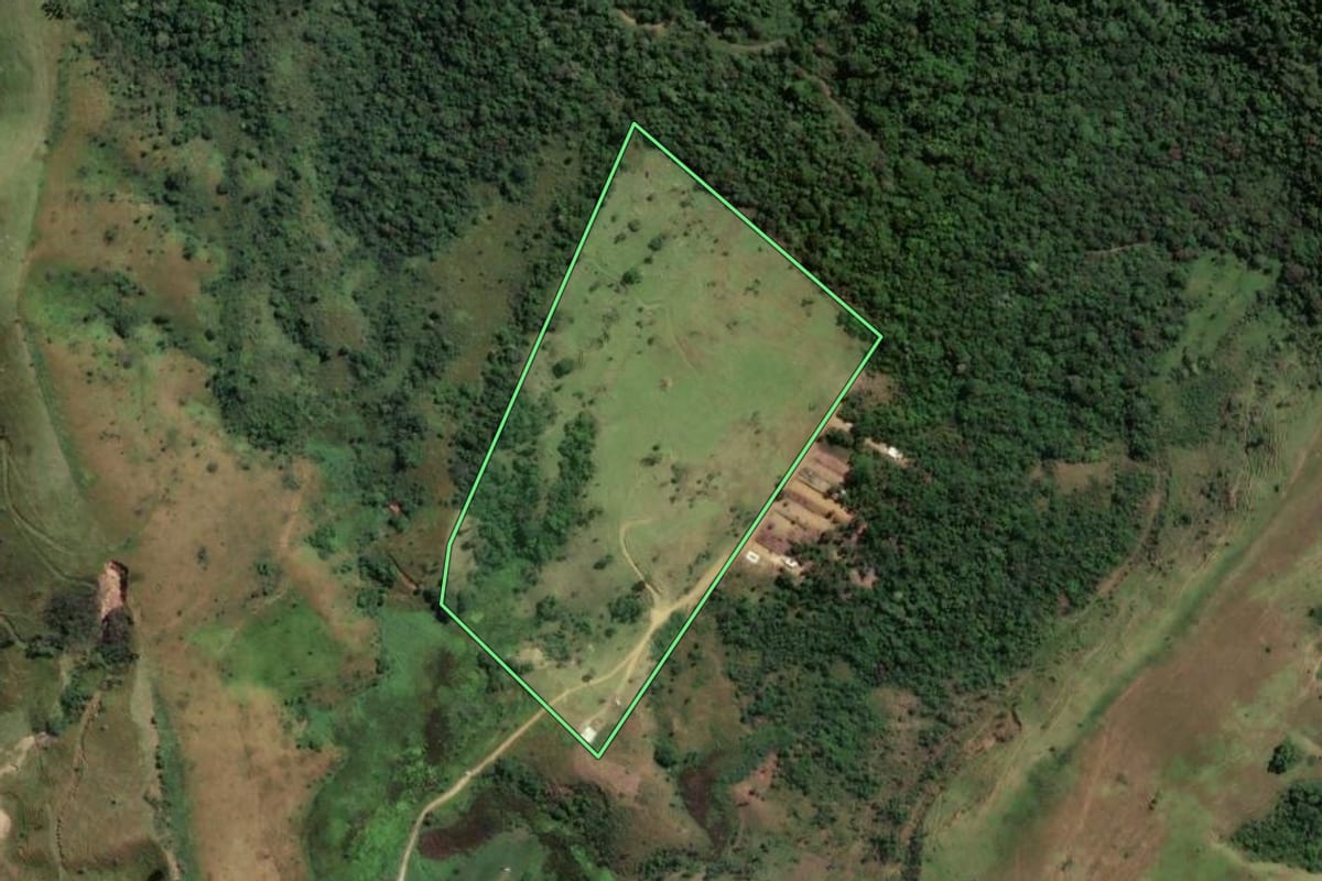 Imagem de satélite do imóvel rural em Cruzeiro (SP), com o contorno declarado no CAR desenhado por cima.