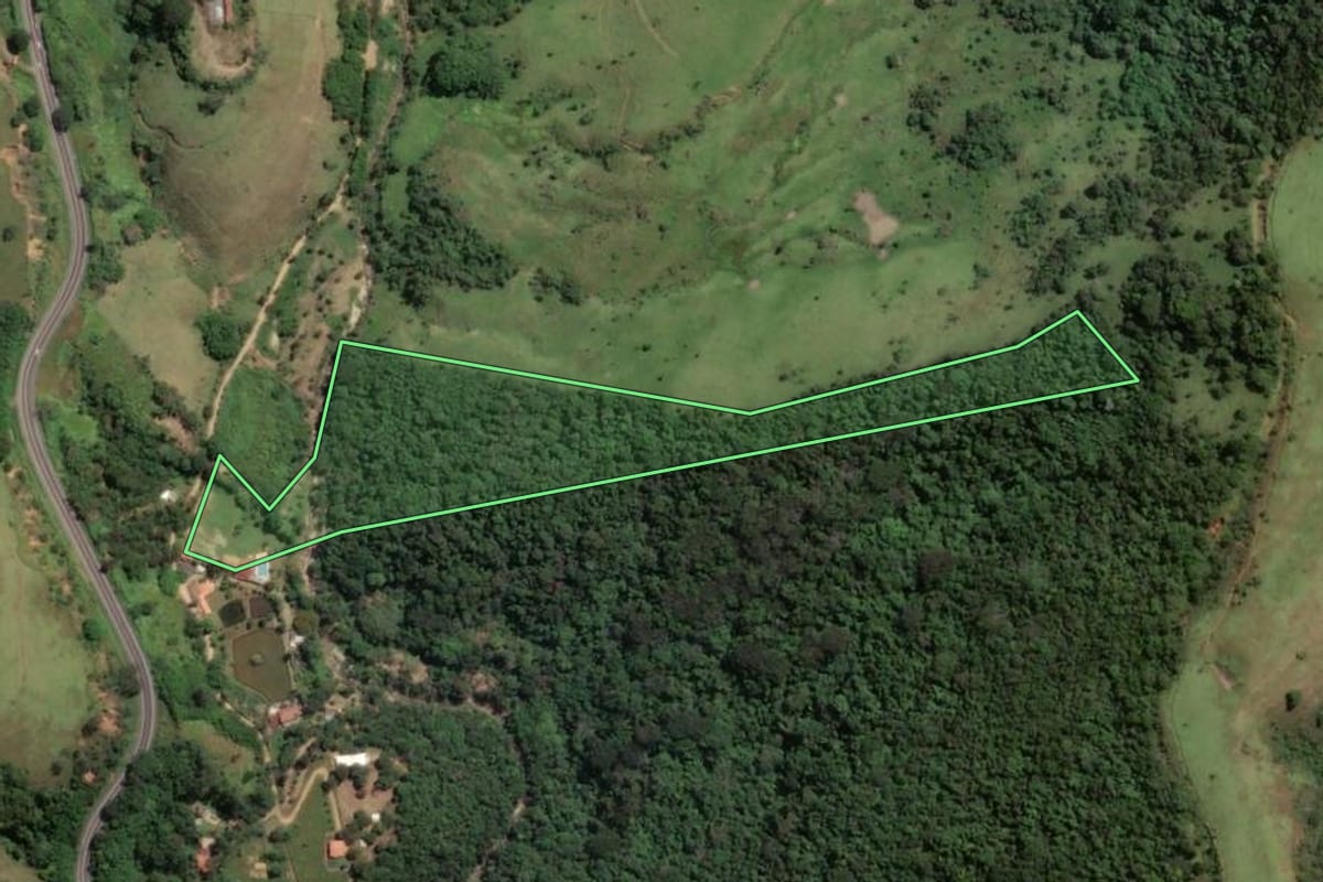 Imagem de satélite do imóvel rural em Cruzeiro (SP), com o contorno declarado no CAR desenhado por cima.