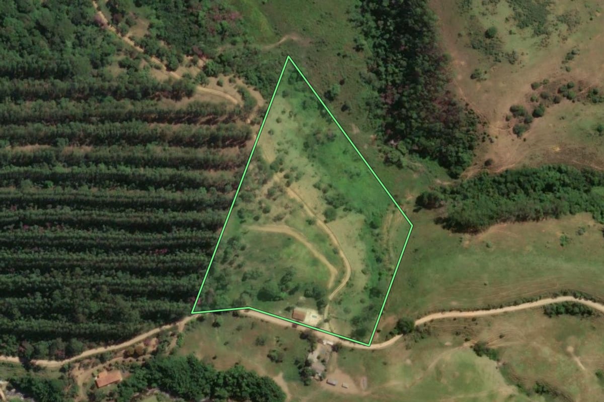 Imagem de satélite do imóvel rural em Cruzeiro (SP), com o contorno declarado no CAR desenhado por cima.