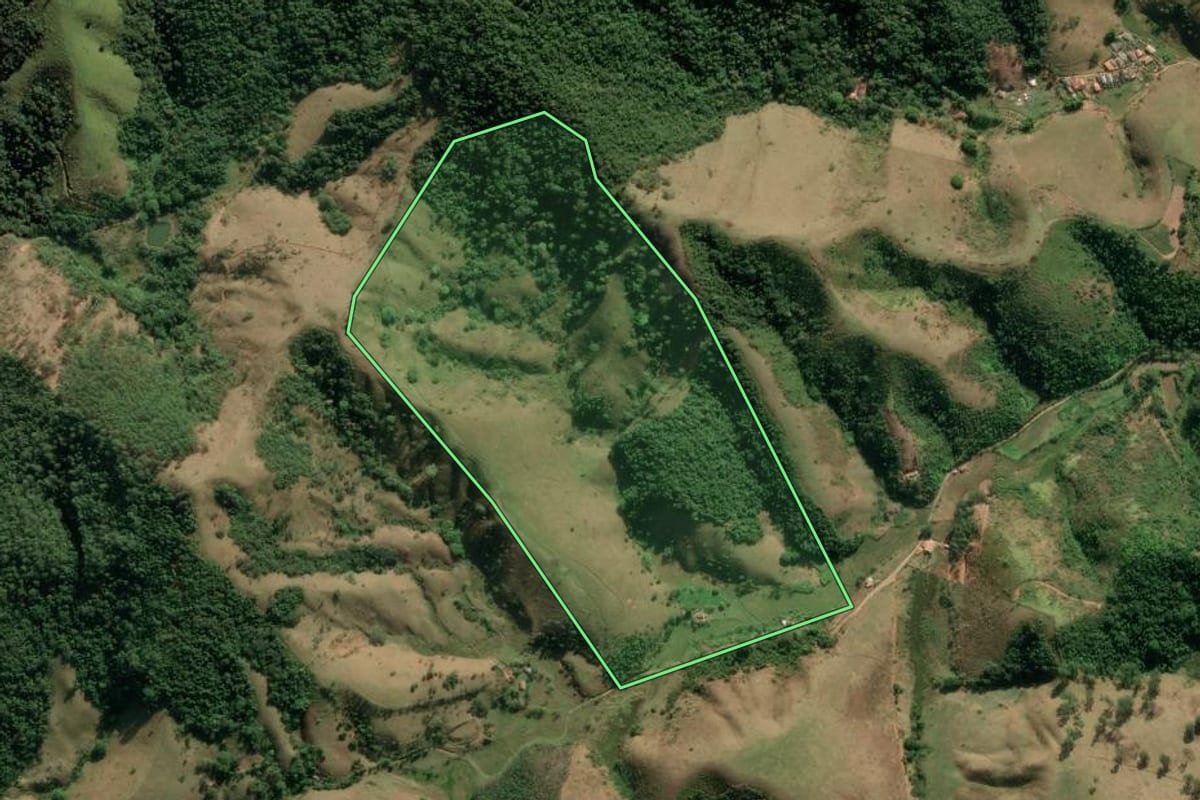 Imagem de satélite do imóvel rural em Cruzeiro (SP), com o contorno declarado no CAR desenhado por cima.