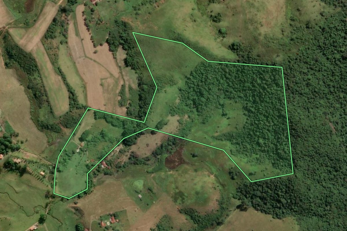 Imagem de satélite do imóvel rural em Cruzeiro (SP), com o contorno declarado no CAR desenhado por cima.