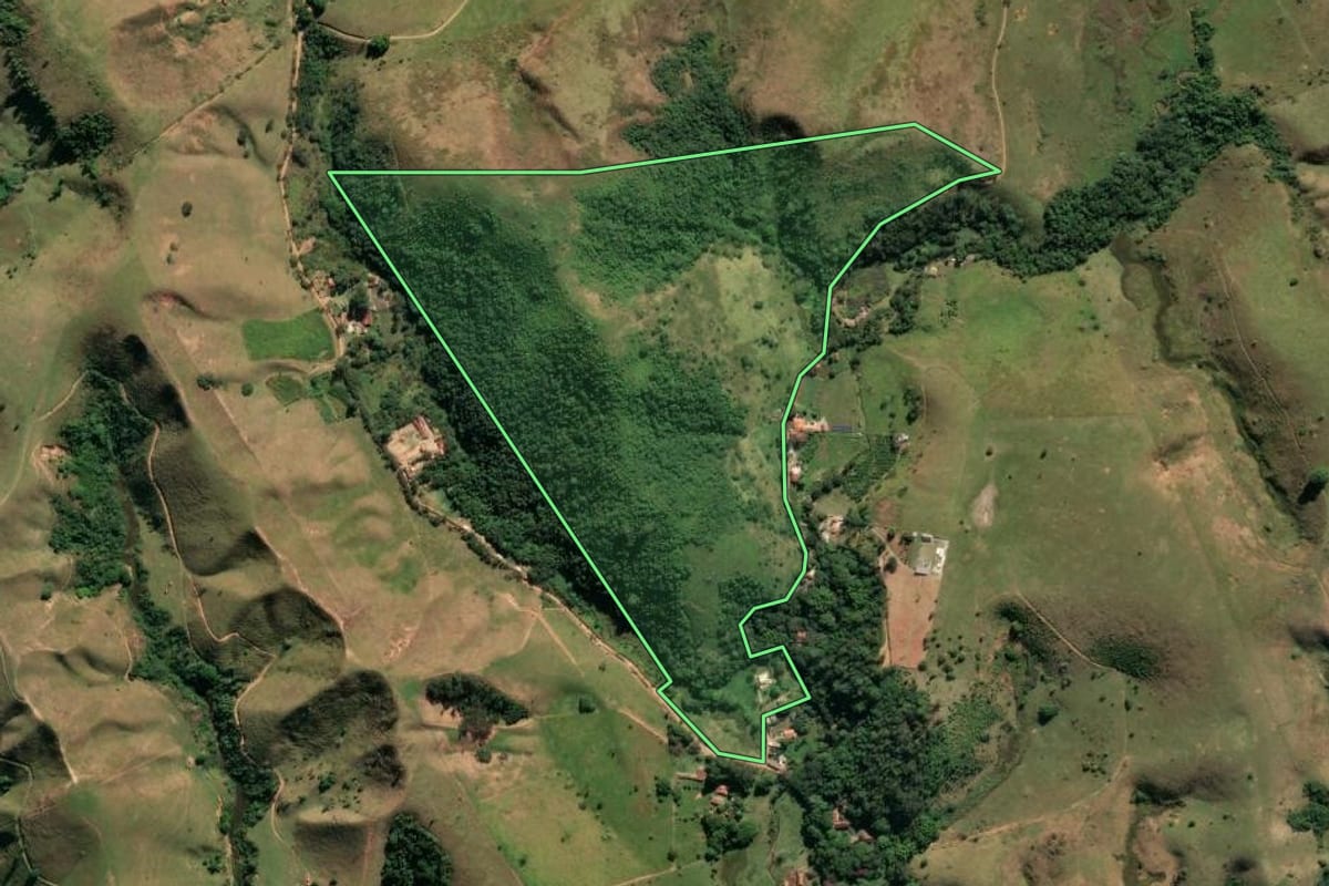 Imagem de satélite do imóvel rural em Cruzeiro (SP), com o contorno declarado no CAR desenhado por cima.