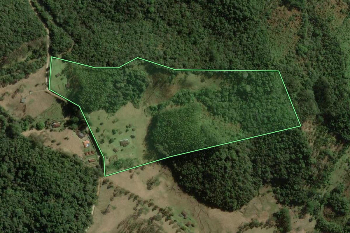 Imagem de satélite do imóvel rural em Cunha (SP), com o contorno declarado no CAR desenhado por cima.