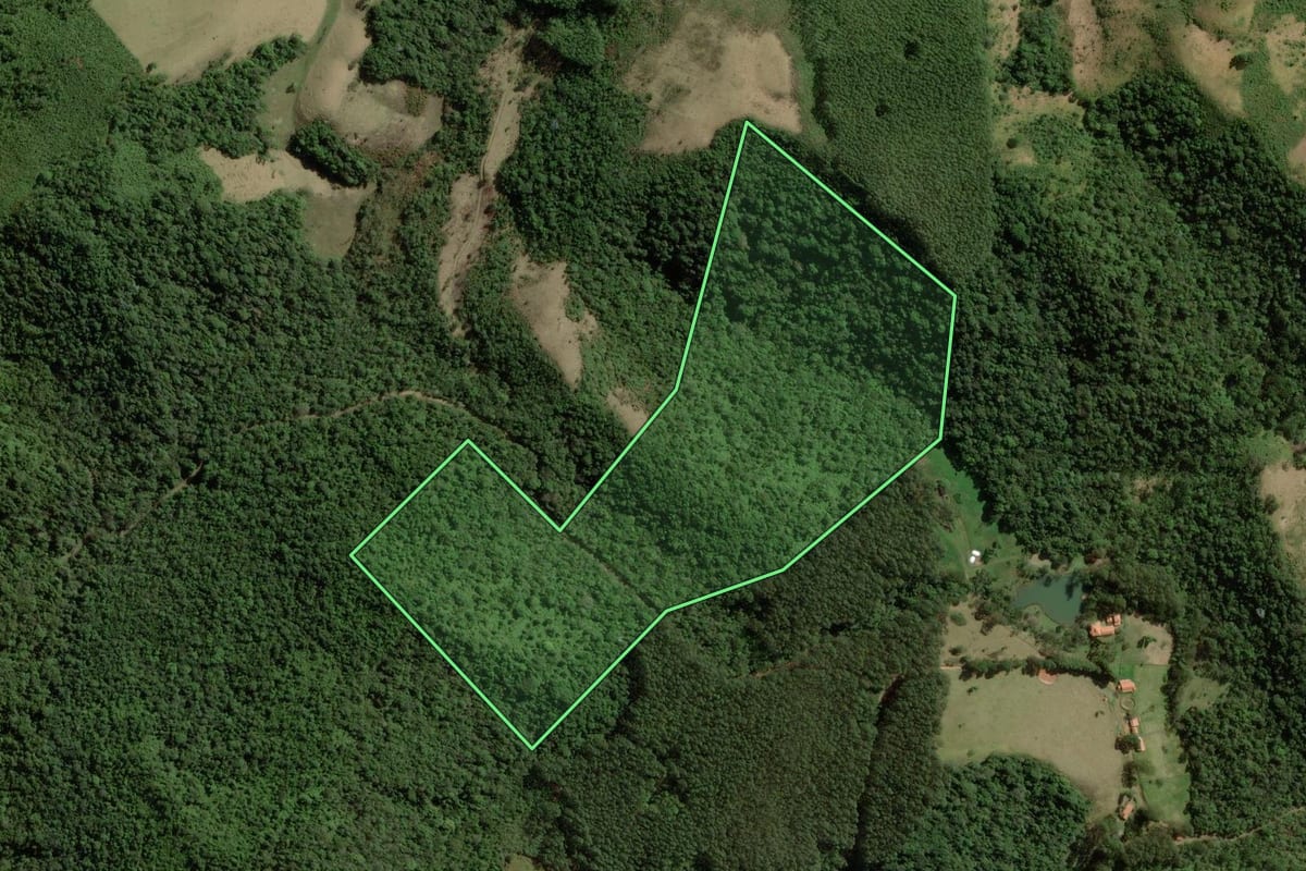 Imagem de satélite do imóvel rural em Cunha (SP), com o contorno declarado no CAR desenhado por cima.