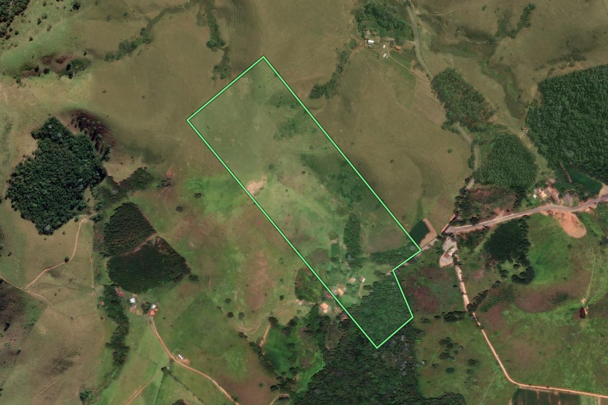 Imagem de satélite do imóvel rural em Cunha (SP), com o contorno declarado no CAR desenhado por cima.