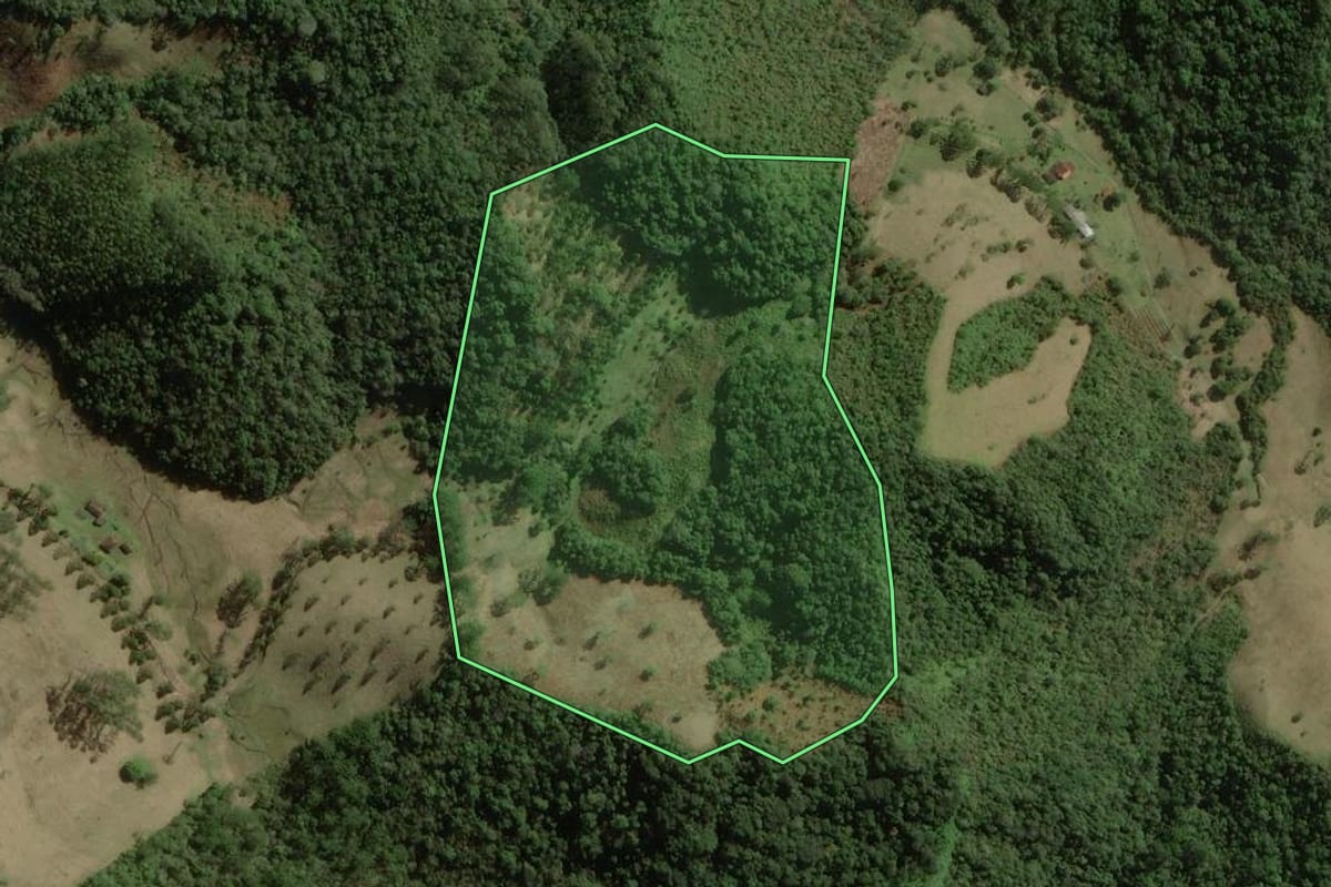 Imagem de satélite do imóvel rural em Cunha (SP), com o contorno declarado no CAR desenhado por cima.
