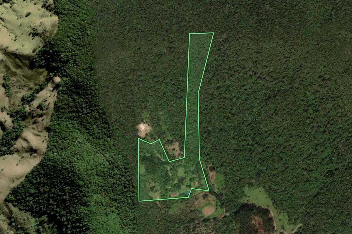 Imagem de satélite do imóvel rural em Cunha (SP), com o contorno declarado no CAR desenhado por cima.