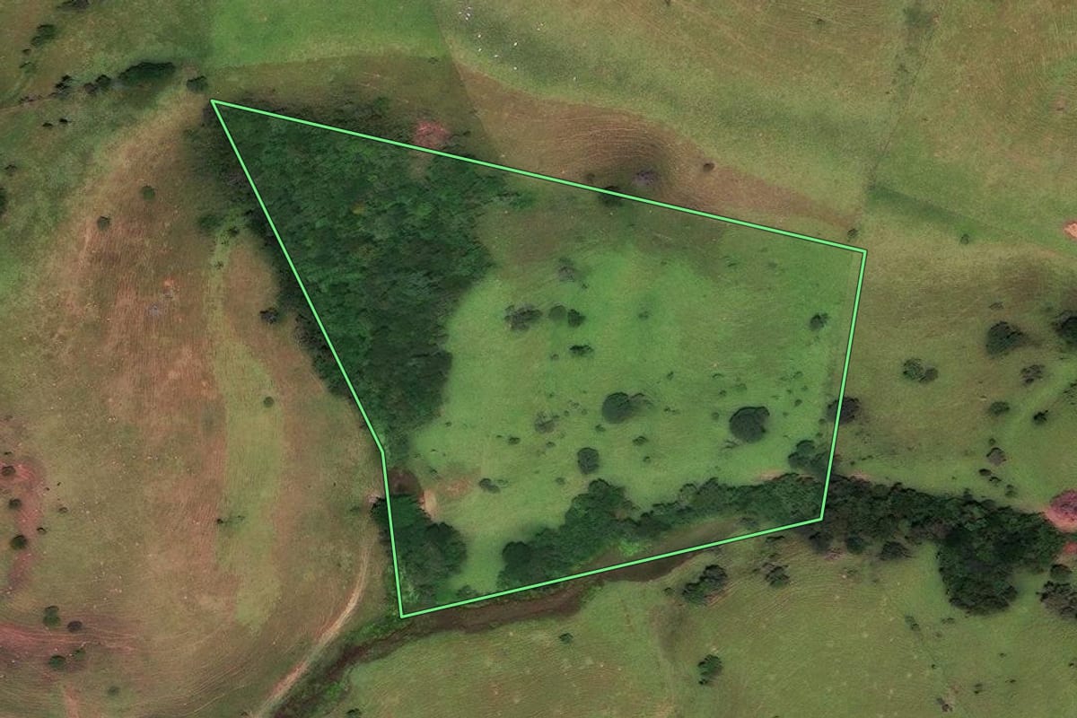 Imagem de satélite do imóvel rural em Cunha (SP), com o contorno declarado no CAR desenhado por cima.