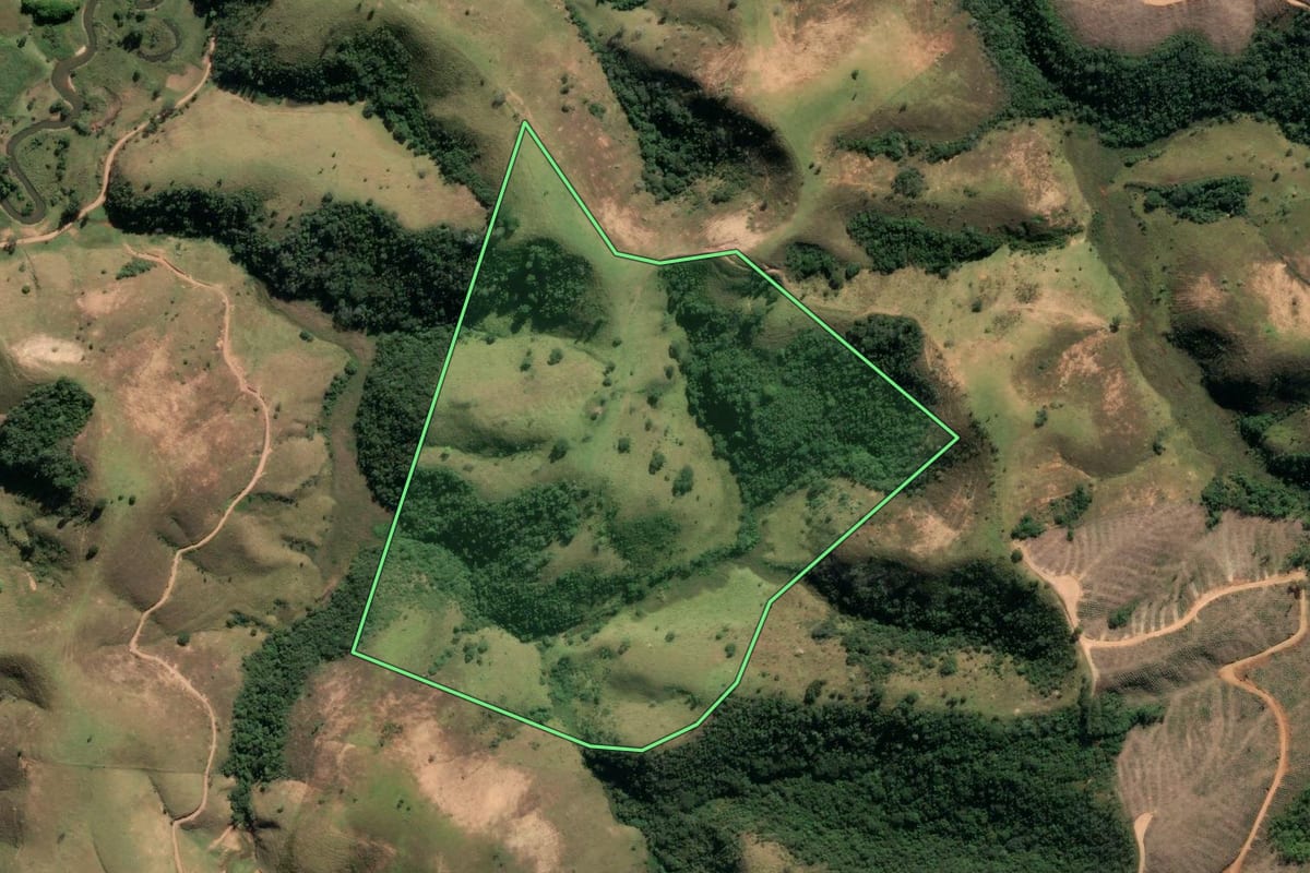 Imagem de satélite do imóvel rural em Cunha (SP), com o contorno declarado no CAR desenhado por cima.