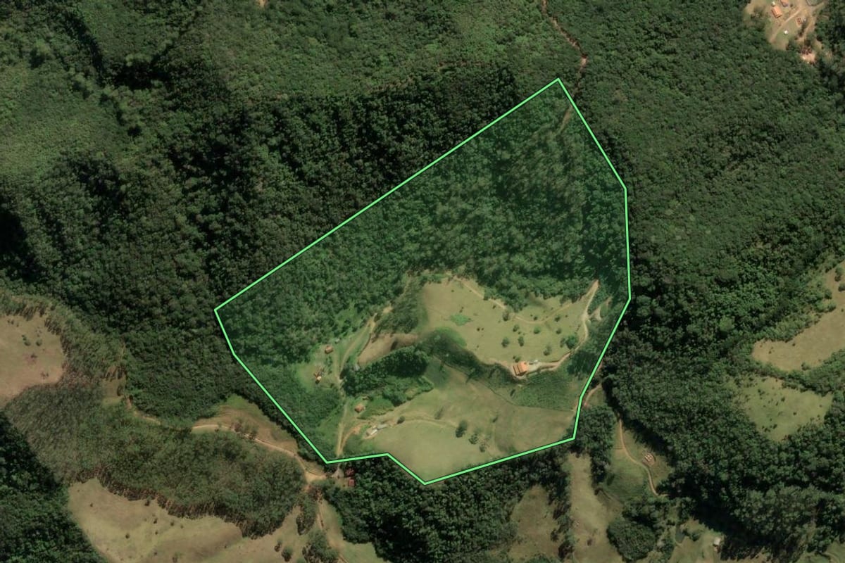 Imagem de satélite do imóvel rural em Cunha (SP), com o contorno declarado no CAR desenhado por cima.