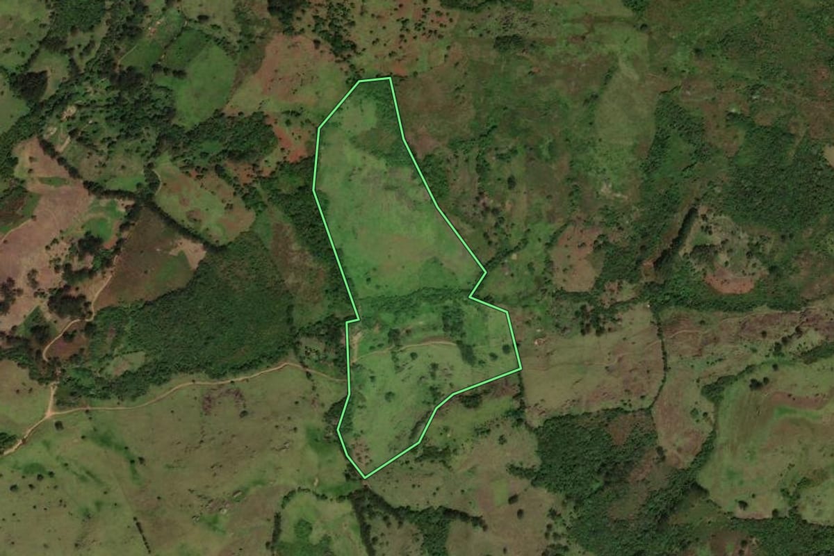 Imagem de satélite do imóvel rural em Cunha (SP), com o contorno declarado no CAR desenhado por cima.