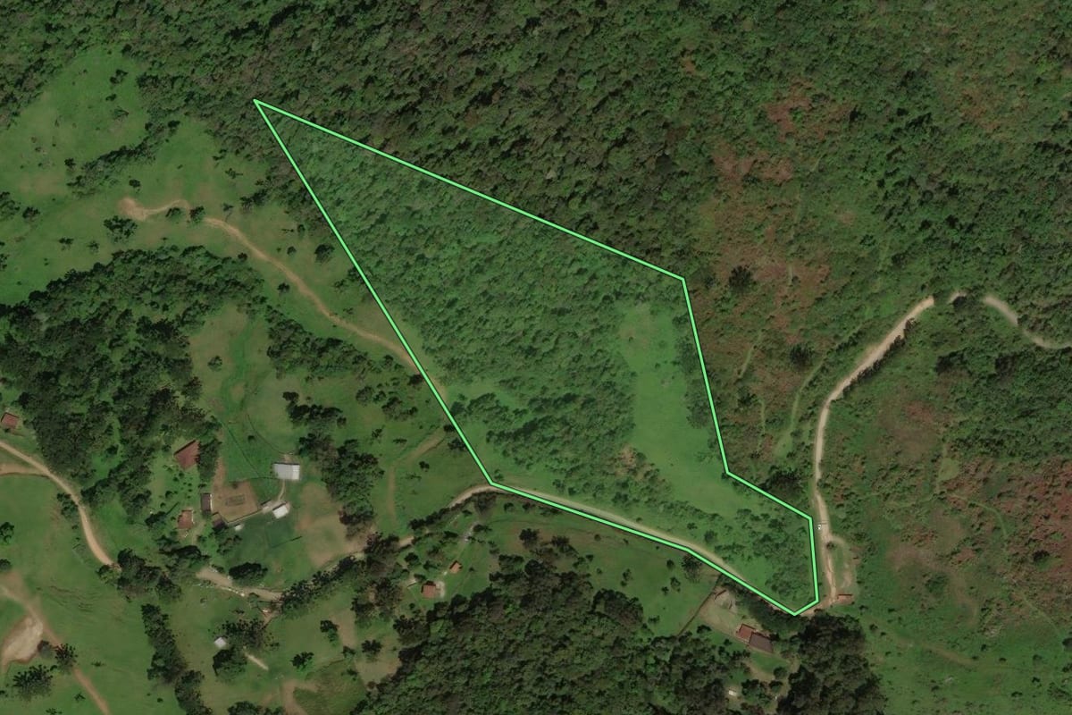 Imagem de satélite do imóvel rural em Cunha (SP), com o contorno declarado no CAR desenhado por cima.