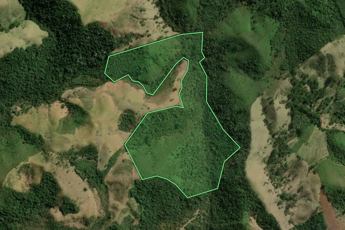 Imagem de satélite do imóvel rural em Cunha (SP), com o contorno declarado no CAR desenhado por cima.