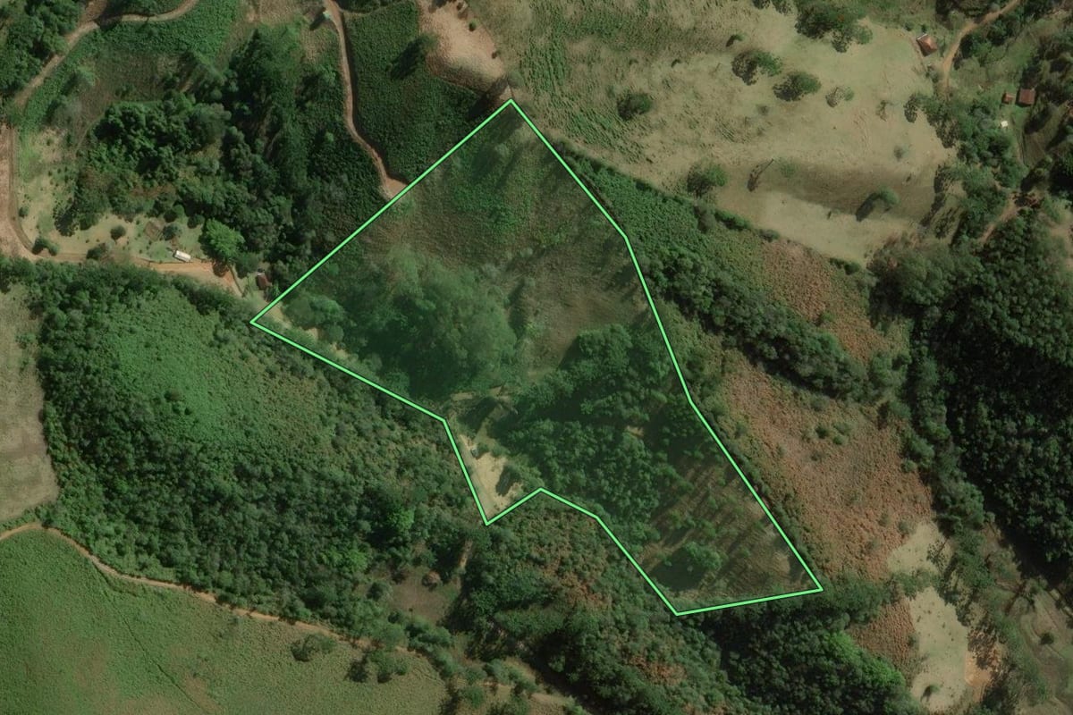 Imagem de satélite do imóvel rural em Cunha (SP), com o contorno declarado no CAR desenhado por cima.