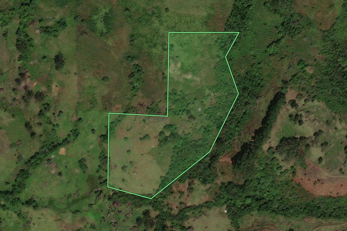 Imagem de satélite do imóvel rural em Cunha (SP), com o contorno declarado no CAR desenhado por cima.