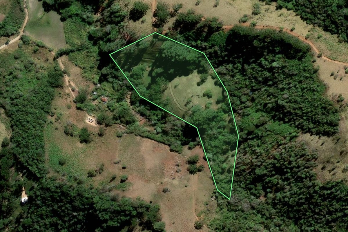 Imagem de satélite do imóvel rural em Cunha (SP), com o contorno declarado no CAR desenhado por cima.