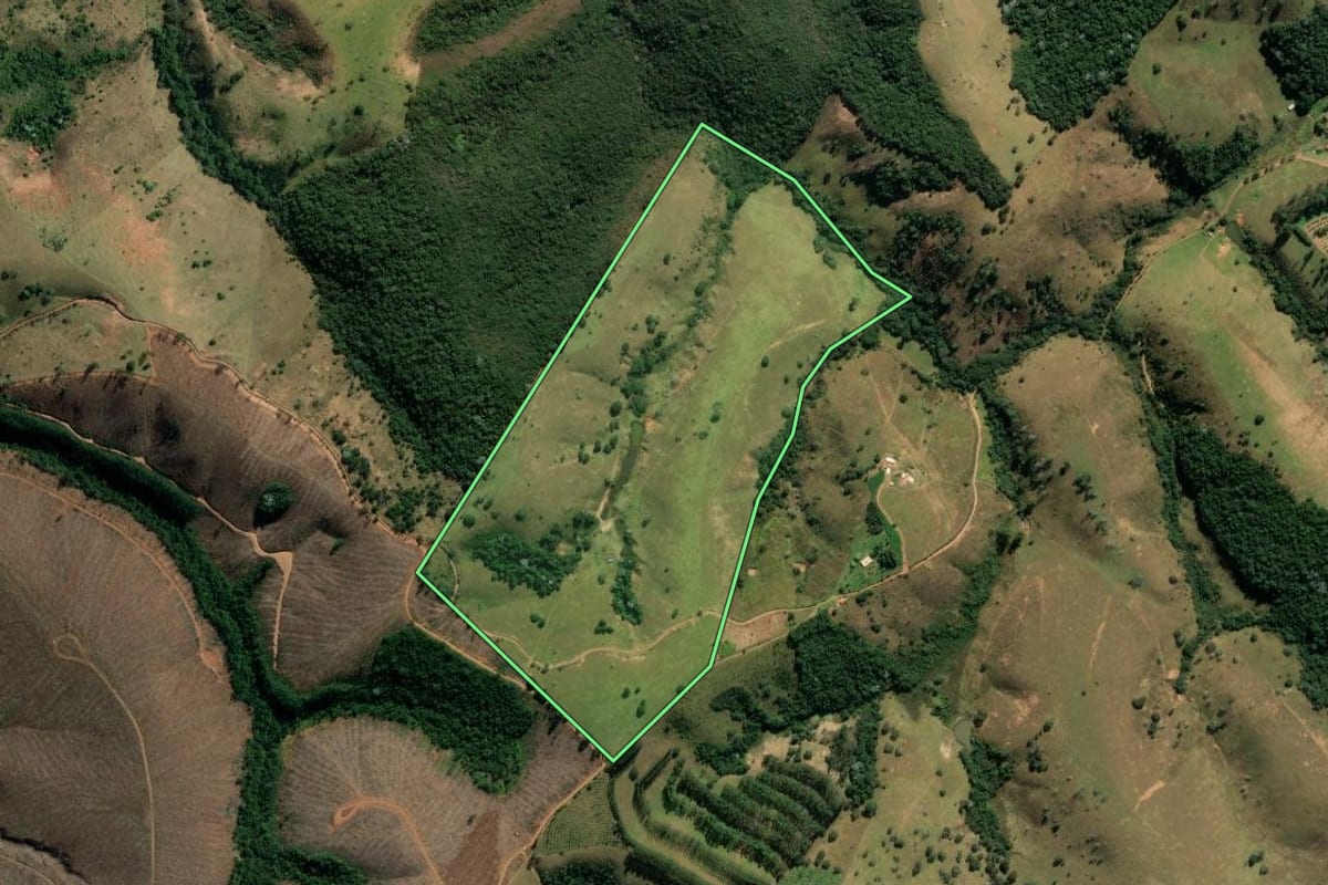 Imagem de satélite do imóvel rural em Cunha (SP), com o contorno declarado no CAR desenhado por cima.