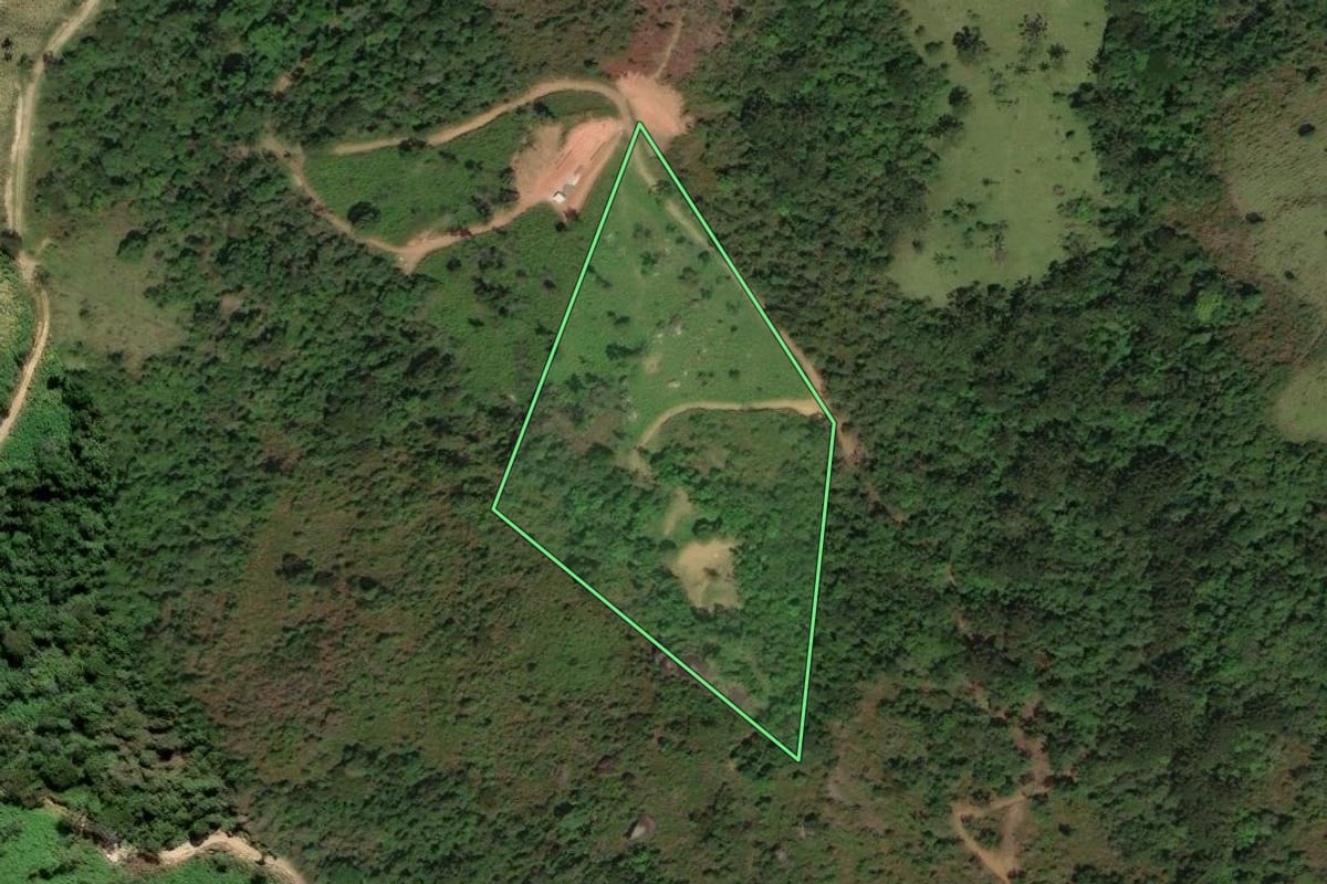Imagem de satélite do imóvel rural em Cunha (SP), com o contorno declarado no CAR desenhado por cima.