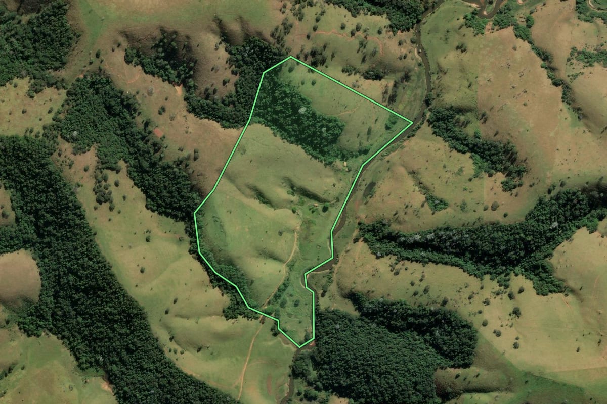 Imagem de satélite do imóvel rural em Cunha (SP), com o contorno declarado no CAR desenhado por cima.